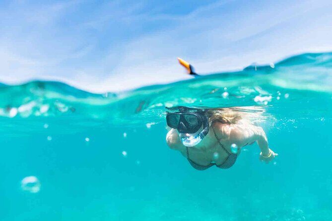 Oahu Coastline Cruise: Turtle Snorkeling and Jumping Platform - The Full Experience: What to Expect on the Oahu Coastline Cruise