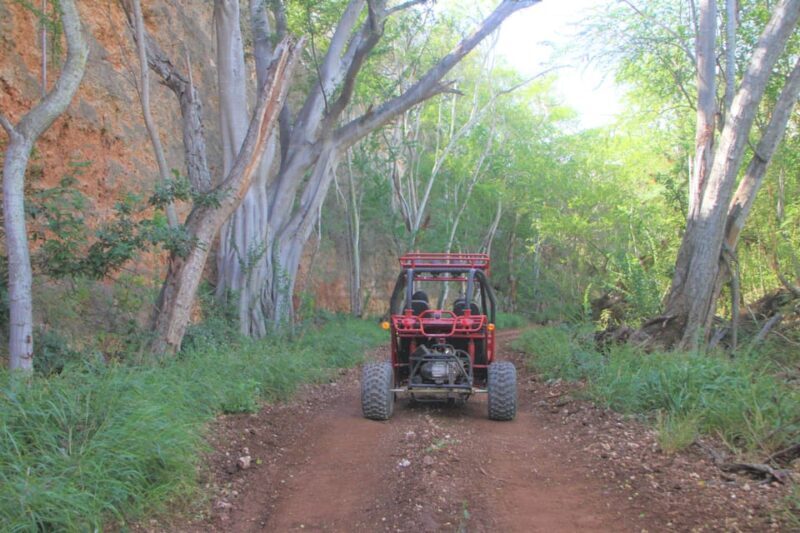 Oahu: Coral Crater Zipline and Offroad ATV Adventure - FAQ