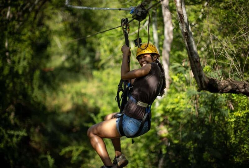 Oahu: Coral Crater Zipline Tour - The Experience: What You Can Expect
