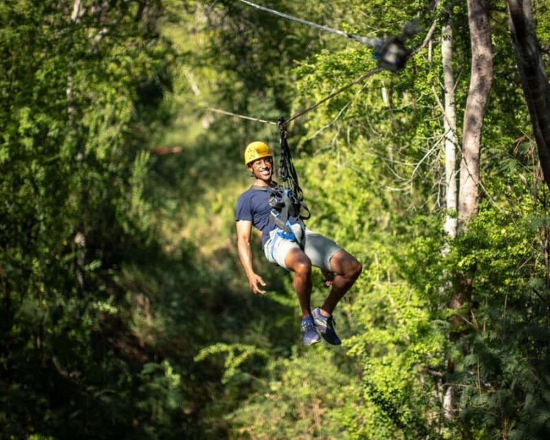 Oahu: Coral Crater Zipline Tour - Who Should Consider This Tour?