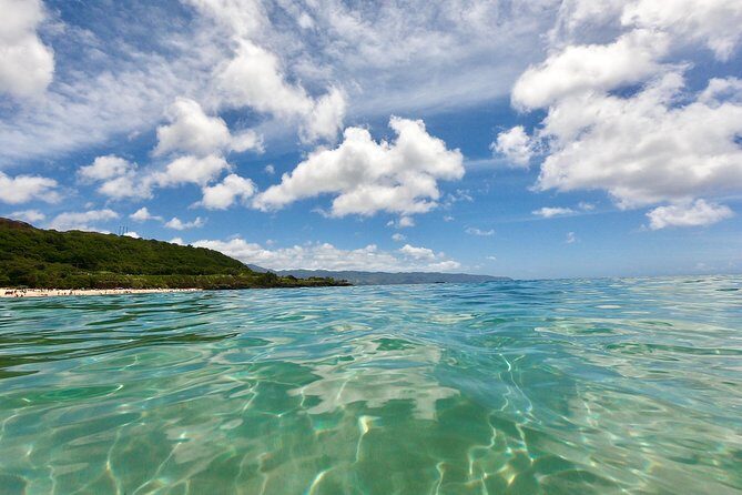 Oahu Custom Private Circle Island and Mini Circle Island Tours - FAQ