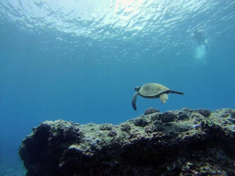 Oahu: Custom Private Island Tour of O'ahu - Oahu: Custom Private Island Tour of Oahu – A Deep Dive into Hawaii’s Hidden Gems