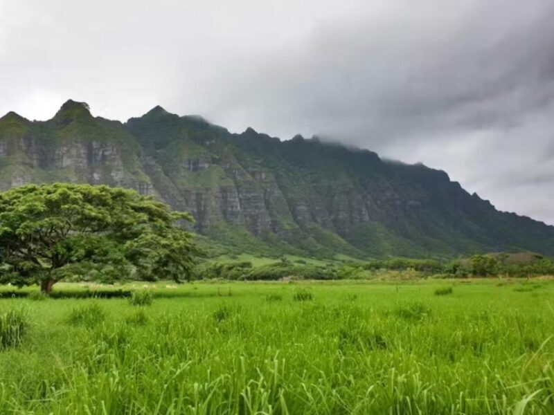 Oahu: Custom Private Island Tour of O'ahu - Practical Details & What to Expect