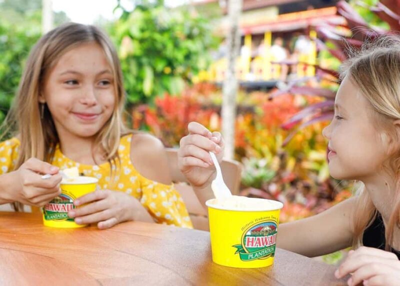 Oahu: Dole Plantation & Haleiwa Express Deluxe Tour - Key Points