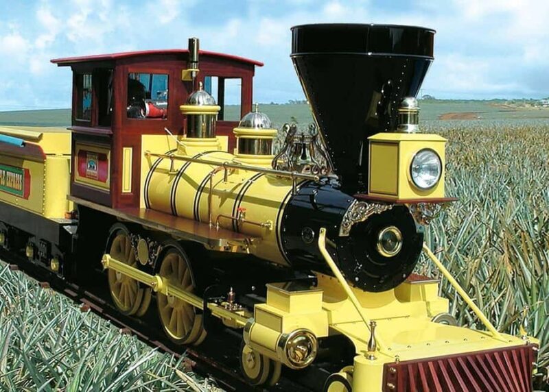 Oahu: Dole Plantation & Haleiwa Express Deluxe Tour - Detailed Breakdown of the Itinerary