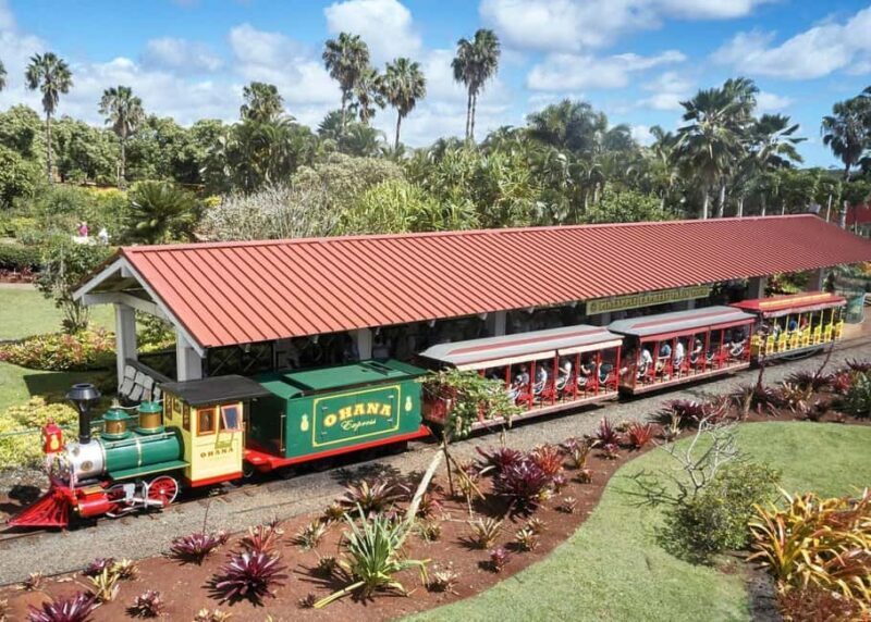 Oahu: Dole Plantation & Haleiwa Express Deluxe Tour - Insights from Travelers
