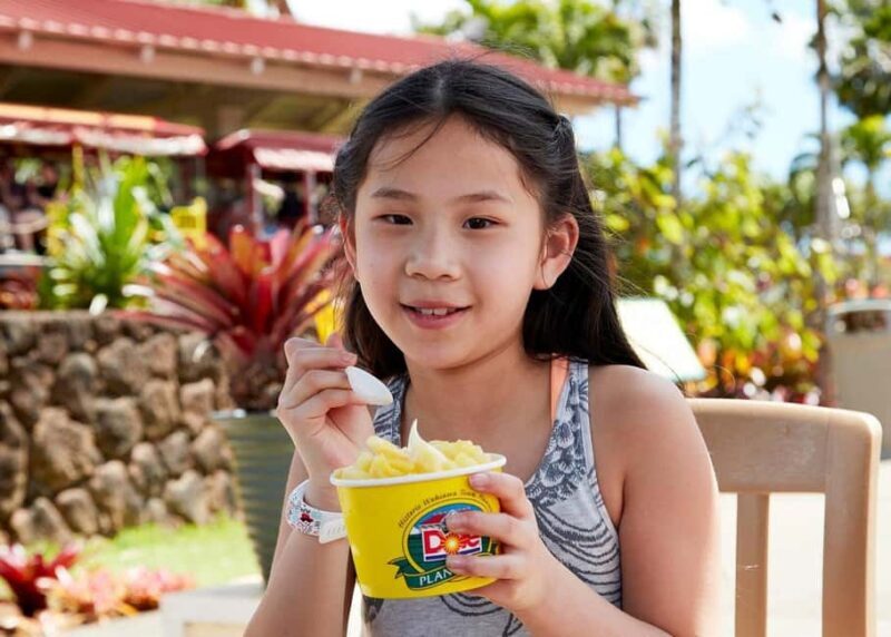 Oahu: Dole Plantation & Haleiwa Express Deluxe Tour - The Sum Up: Is This Tour Right for You?