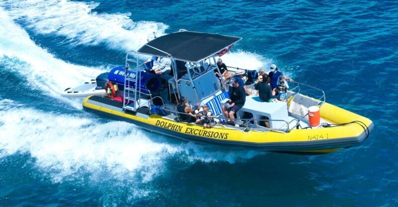 Oahu: Dolphin Swim and Turtle Snorkel Excursion in Waianae - What’s Included and How It Works