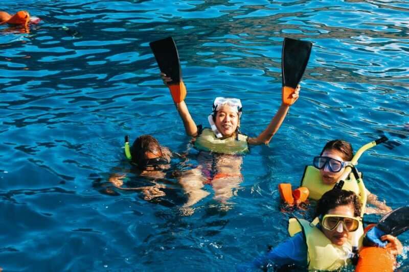 Oahu Dolphin Watch, Turtle Snorkel, Waterslide Activities - Practical Tips for Your Trip