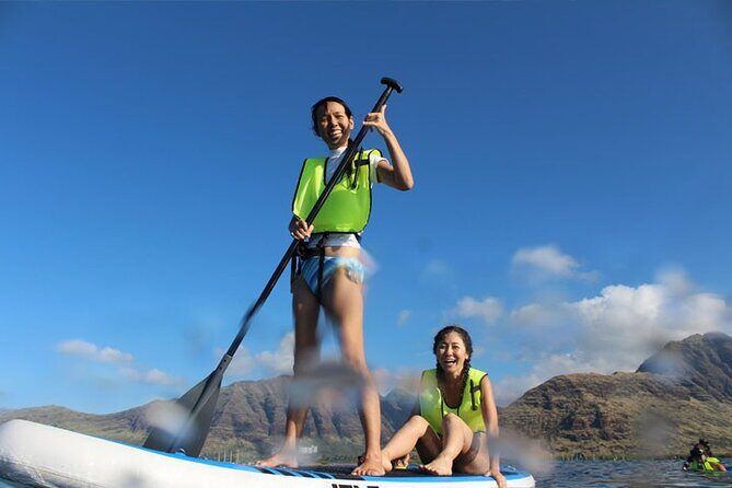 Oahu Dolphin Watch with Turtle Snorkel & Water Slide - The Sum Up