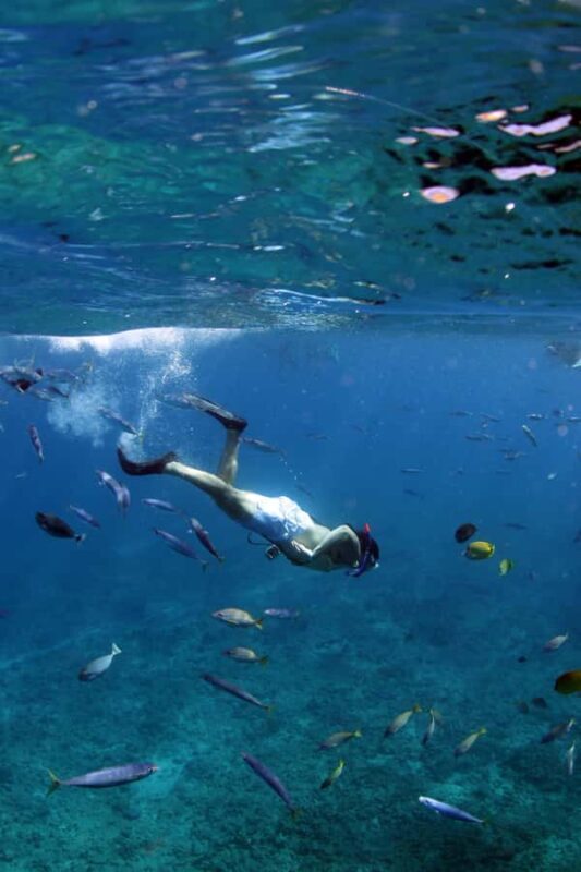 Oahu: EPIC Off Road Stand-Up ATV and Sunset Snorkel Cruise - Key Points