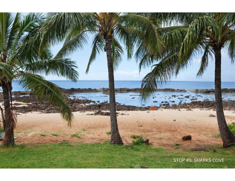 Oahu: Explore North Shore by E-Bike & Snorkel (Self-Guided) - Frequently Asked Questions