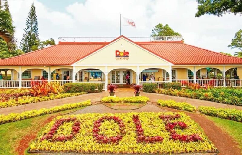 Oahu: Full-Day Tour with Snorkeling, Free Wi-Fi & Free Perks - An In-Depth Look at the Tour Experience