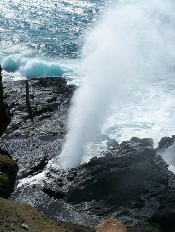 Oahu: Full-Day Tour with Snorkeling, Free Wi-Fi & Free Perks - Who Should Consider This Tour?