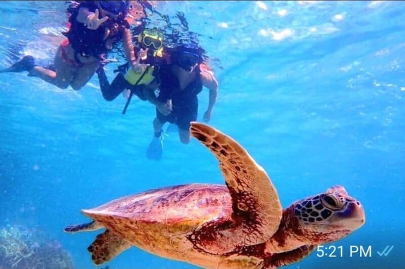 Oahu: Full-Day Tour with Snorkeling, Free Wi-Fi & Free Perks - Final Thoughts