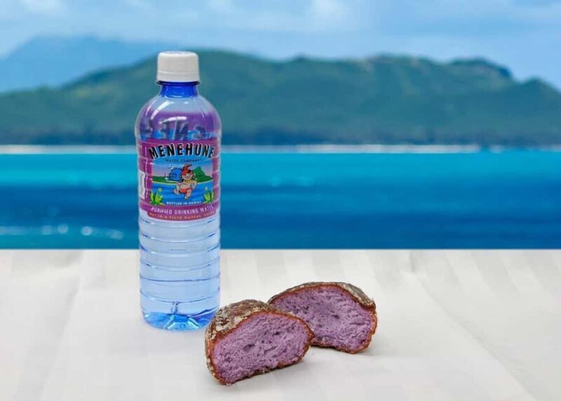 Oahu: Grand Circle Island Tour with Haleiwa - A Closer Look at the Oahu Grand Circle Island Tour