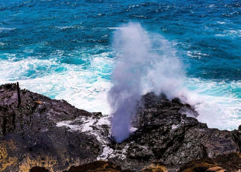 Oahu: Grand Circle Island Tour with Haleiwa - FAQs