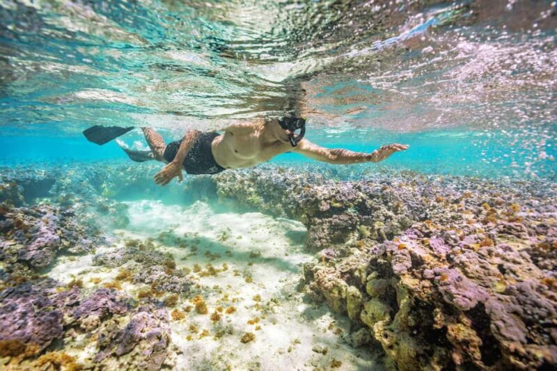 Oahu : Hanauma Bay Admission Ticket+Equipment Rental - Exploring Hanauma Bay with Equipment Rental: A Practical Guide