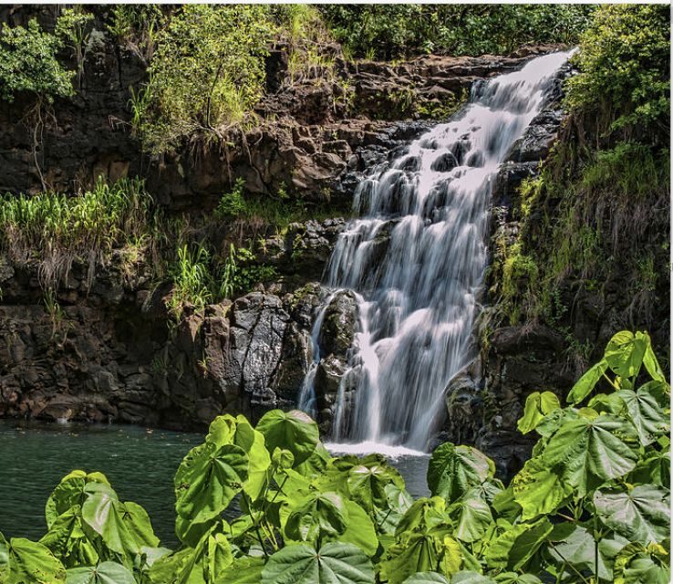Oahu Hidden Gems & Waimea Botanical Garden/Waterfall tour - A Deep Dive into the Oahu Hidden Gems & Waimea Botanical Garden/Waterfall Tour