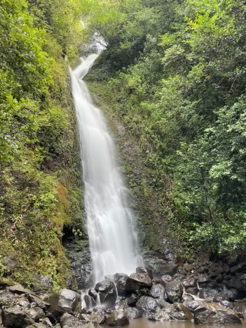 Oahu: Hidden Hawaii Waterfall Hike and Beach Tour - Oahu: Hidden Hawaii Waterfall Hike and Beach Tour — A Complete Guide