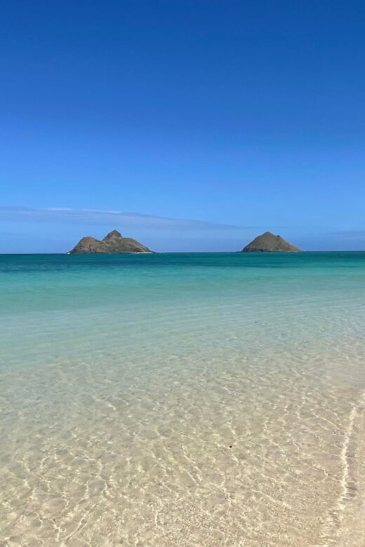 Oahu: Hidden Hawaii Waterfall Hike and Beach Tour - Key Points