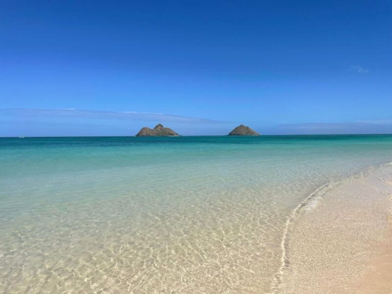 Oahu: Hidden Hawaii Waterfall Hike and Beach Tour - Who Will Love This Experience?