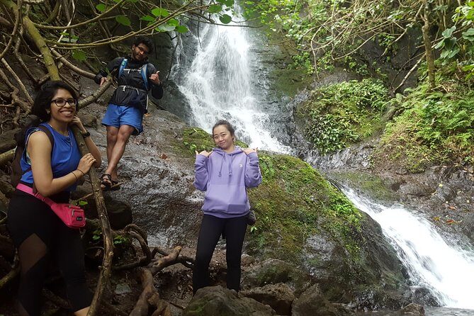 Oahu Hidden Waterfall Hike: A Tropical Paradise Adventure - Key Points