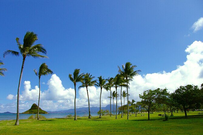 Oahu Highlights Private Guided Tour: Landmarks & Architecture - An In-Depth Look at the Oahu Highlights Private Tour