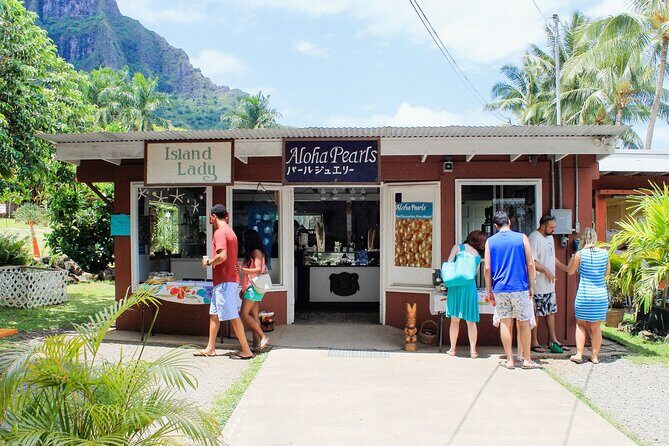 Oahu Highlights Private Tour: Nature, Views & Turtles in 6 Hours - Exploring Oahu’s Highlights in Six Hours