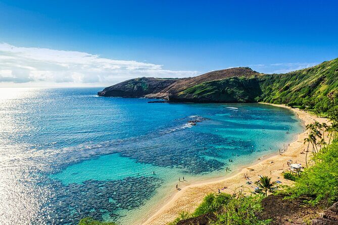 Oahu Highlights Private Tour: Nature, Views & Turtles in 6 Hours - Who Should Consider This Tour?