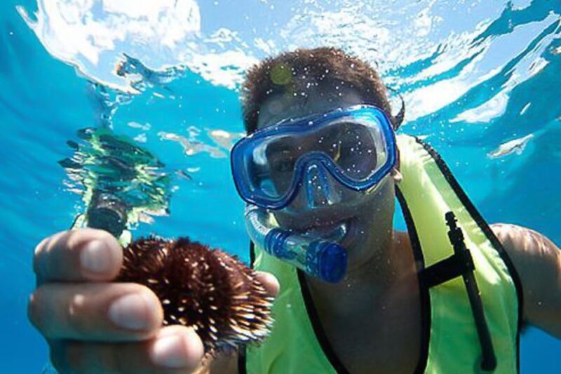 Oahu: Hilton Hawaiian Village Snorkel Tour - Discover the Underwater Beauty of Waikiki with the Hilton Hawaiian Village Snorkel Tour
