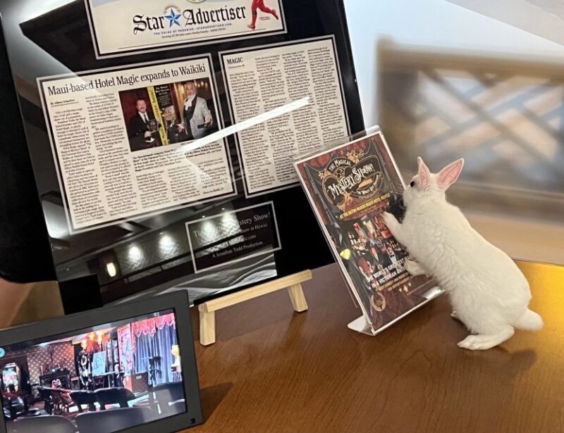 Oahu: Hilton Waikiki Beach Hotel Magical Mystery Show - A Closer Look at the Magical Mystery Show Experience