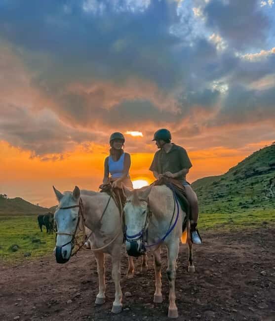 Oahu: Horseback Riding Sunshine or Sunset Tour - Key Points