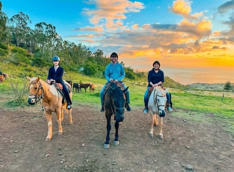 Oahu: Horseback Riding Sunshine or Sunset Tour - The Experience in Detail