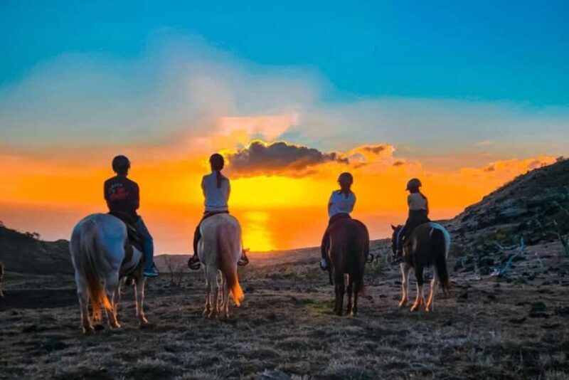Oahu: Horseback Riding Sunshine or Sunset Tour - The Sum Up