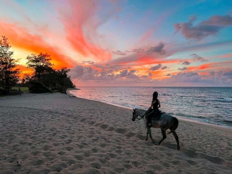 Oahu: Horseback Riding Tour on the North Shore - Key Points