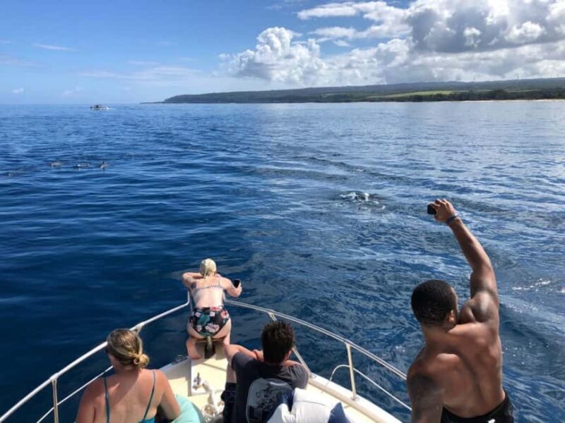 Oahu: Humpback Whale Watching Tour - An In-Depth Look at the Whale Watching Adventure