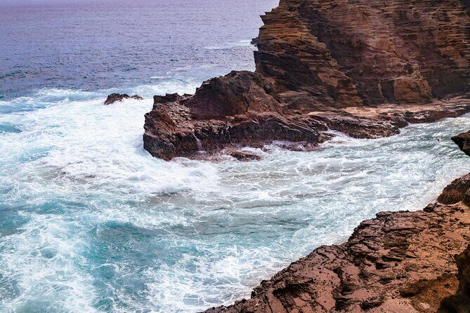 Oahu in a Day Private tour Figure 8 Adventure - Final Thoughts: Is This Tour for You?