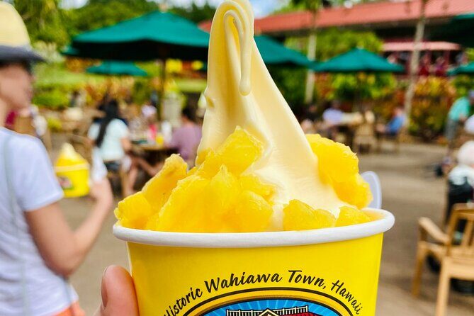 Oahu in a Day Private tour Figure 8 Adventure - Frequently Asked Questions