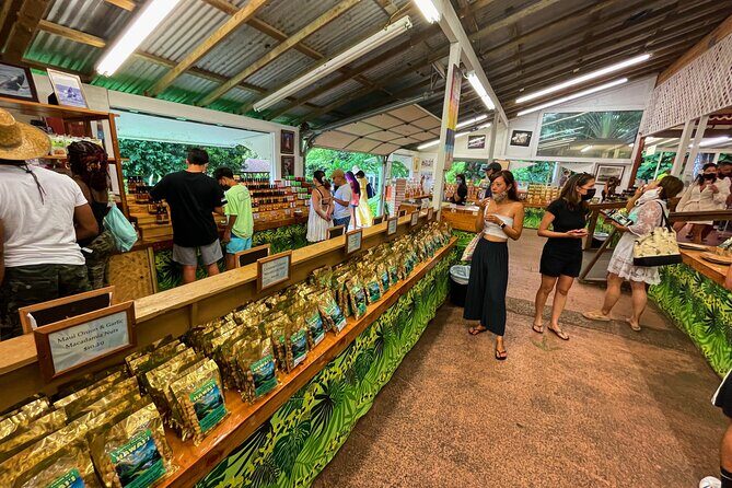 Oahu Island Experience feat the North Shore (Small Group Tour) - Final Reflection