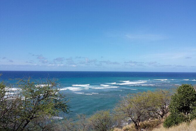 Oahu Island Tour: 13 ppl Max, Snorkel at Turtle Beach + Lunch - What Travelers Are Saying