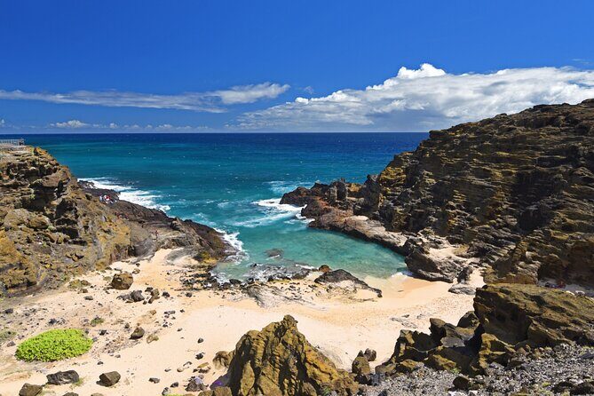 Oahu Island Tour: 13 ppl Max, Snorkel at Turtle Beach + Lunch - Who Will Love This Tour?
