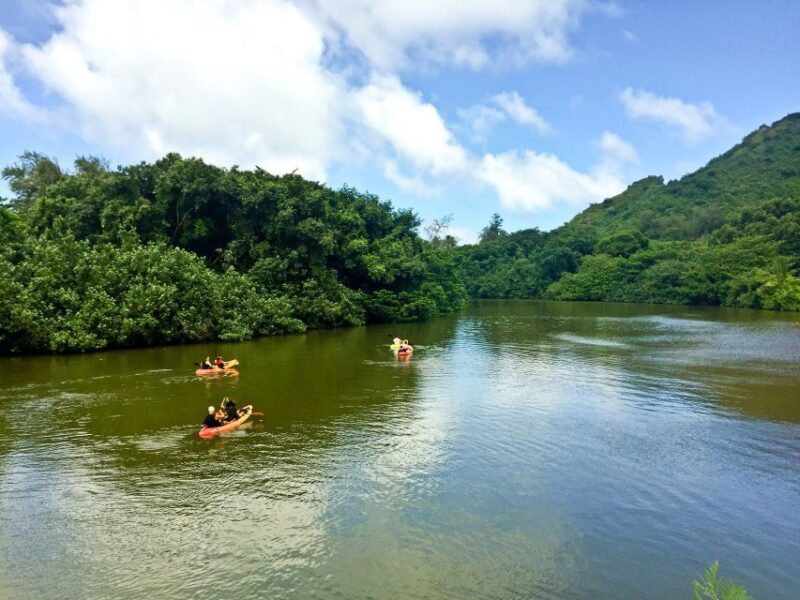 Oahu: Kahana Rainforest River 4-Hour Kayak Rental - Final Thoughts