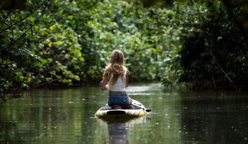 Oahu: Kahana River Stand-Up Paddleboard Rental - Key Points