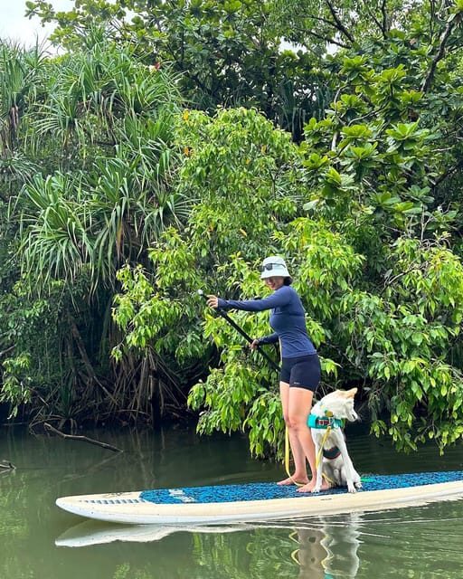 Oahu: Kahana River Stand-Up Paddleboard Rental - Frequently Asked Questions