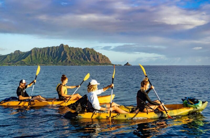 Oahu: Kaneohe Bay Coral Reef Kayaking Rental - FAQ