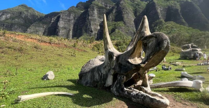 Oahu: Kualoa Movie Sites, Jungle, and Buffet Tour Package - Practical Tips for Your Day