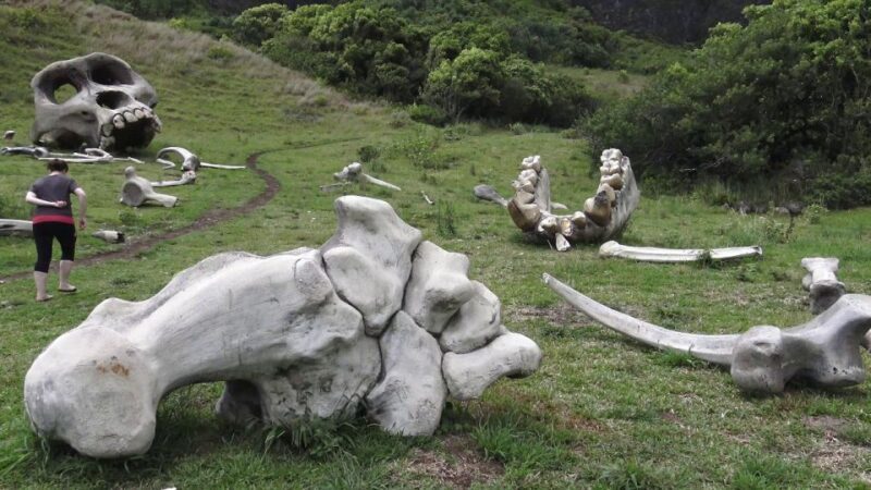 Oahu: Kualoa Movie Sites, Jungle, and Buffet Tour Package - FAQ