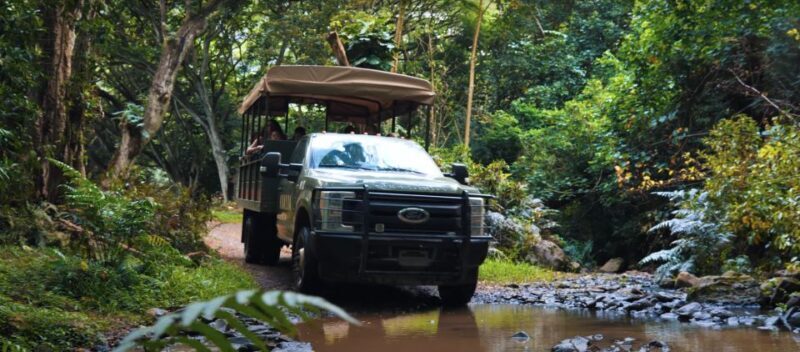 Oahu: Kualoa Open Air Jungle Expedition Tour - A Closer Look at the Tour Experience