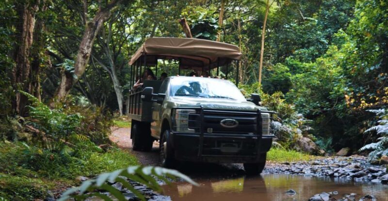 Oahu: Kualoa Open Air Jungle Expedition Tour - The Ride and the Scenery: What You’ll See